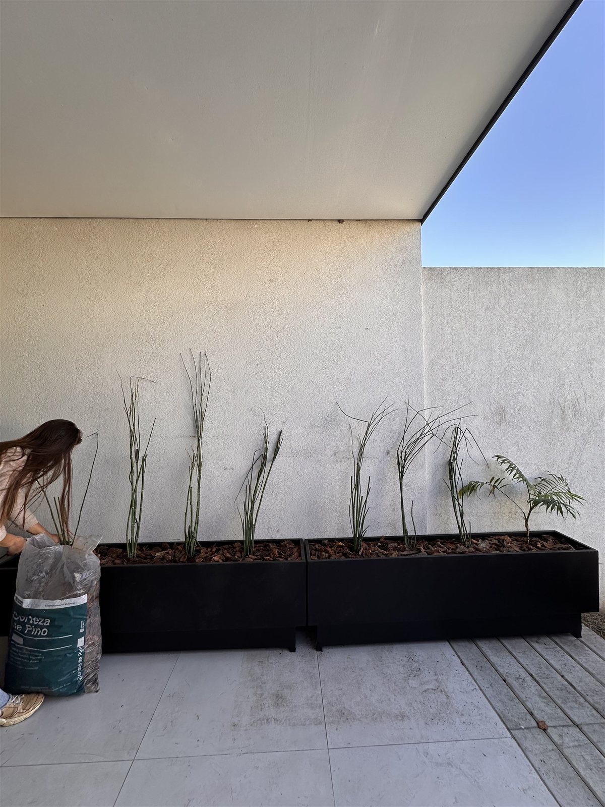 Canteros y pérgola